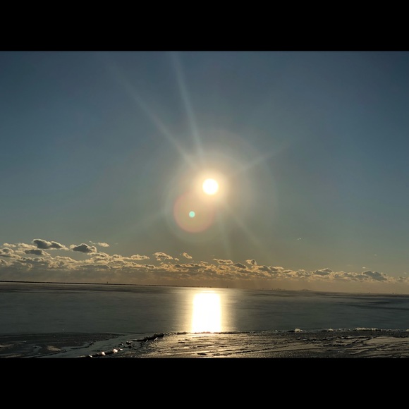 Meet your Posher, Lacey - Picture 3 of 5